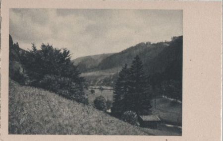 Blick hinab ins Tal - ca. 1955 Blick hinab ins Tal - ca. 1955