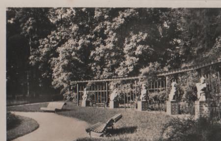 Bad Lausick - Rosengarten - ca. 1955 Bad Lausick - Rosengarten - ca. 1955