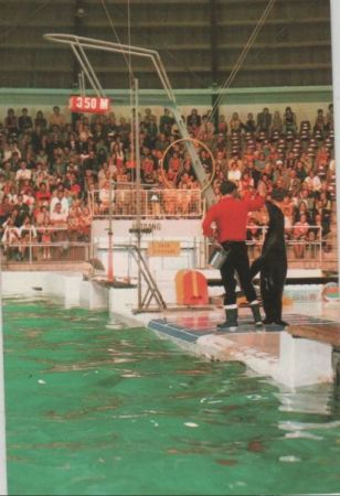 Harderwijk - Niederlande - Dolfinarium Harderwijk - Niederlande - Dolfinarium
