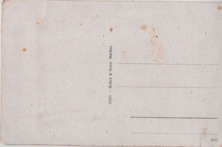 Dahlen-Schmannewitz - Waldteich