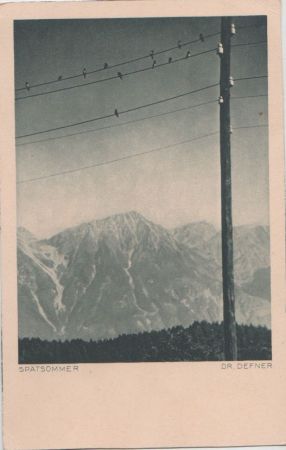 Vögel auf Stromleitung - ca. 1950 Vögel auf Stromleitung - ca. 1950