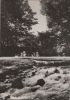 Eberswalde - Am Weidendamm - 1967