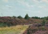 Dänemark - Dänische Heidelandschaft - 1980
