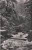 Altenau - Okertal Harz - Inselbrücke - 1962