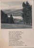 Waldlandschaft am See - ca. 1935