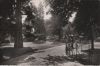 Frankreich - Tours - Le Jardin des Plantes - 1955