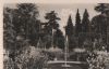 Bad Pyrmont - Palmengarten - ca. 1955