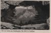 Thüringer Wald - Blick vom Torstein zum Aschenbergstein - ca. 1955