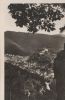 Schwarzburg vom Trippstein - ca. 1955