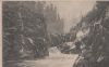 USA - Tacoma Washington - Nisqually Canyon - ca. 1925