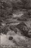 Manderscheid - Horngraben - 1959