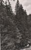 Bad Berneck - Waldschwimmbad - 1955