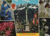 Österreich - Innsbruck - Blumengruß - 1969