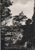 Roßbach - 1961