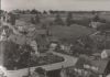Tanne im Harz - 1976