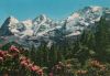 Schweiz - Berner Oberland - Eiger, Mönch, Jungfrau - 1973