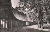 Bad Mergentheim - Wandelhalle Kurpark - 1955