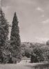 Bensheim-Auerbach - Herrenhaus - ca. 1965
