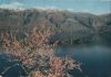 Schweiz - Brissago - ca. 1980