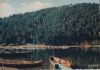 Frankreich - Lac Chambon - 1958
