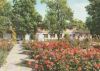 Erfurt - Gartenbauausstellung - 1976