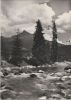 Slowakei - Vysoke Tatry - Hohe Tatra - Der Krivan - 1968