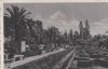 Bad Pyrmont und der Palmengarten - 1930