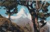 Zermatt - Schweiz - Blick aus dem Arvenwald
