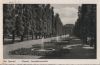 Bad Pyrmont - Kurpark, Springbrunnenallee - 1955