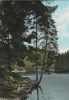 Clausthal-Zellerfeld - Harz - Waldsee im Oberharz - 1968