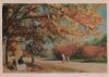 Preview image: Russland - Moskau - Sokolniki zur Herbstzeit - ca. 1975 Russland - Moskau - Sokolniki zur Herbstzeit - ca. 1975