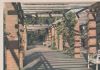 Mönchengladbach - Bunter Garten - ca. 1965