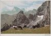 Österreich - Stubaier Alpen - Auf hoher Weide - ca. 1965