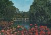 Großbritannien - London - James Park - 1967