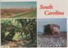 USA - South Carolina - 3 Teilbilder - ca. 1985
