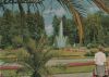 Bad Lippspringe - Im Kurpark - 1965