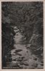 Thale - Bodekessel - ca. 1955