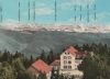 Badenweiler - Hotel Hochblauen - 1973