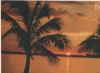 USA, Florida - Beautiful sunset - 1993