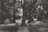 Mirow, Kr. Neustrelitz - Liebesinsel - 1979