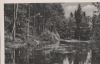 Walsrode - Lohofer Fischteiche im Kleckerwald - 1961