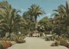 Bad Pyrmont - Palmengarten - ca. 1980