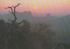 Elbsandsteingebirge - Abendstimmung - 1996