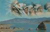 USA, Nevada - Pyramid Lake - 1965