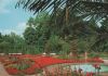 Bad Pyrmont - Palmengarten - ca. 1985