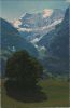 Grindelwald - Schweiz - First, Fiescherhörner