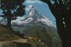 Schweiz - Zermatt - Bergarven auf Riffelalp - 1969