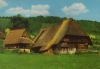 Schwarzwald - Schwarzwaldhaus - ca. 1975