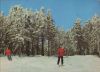 Skifahrer im Wald - 1989
