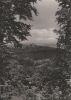 Preview image: Eisenach - Blick von der Hohen Sonne - 1963 Eisenach - Blick von der Hohen Sonne - 1963